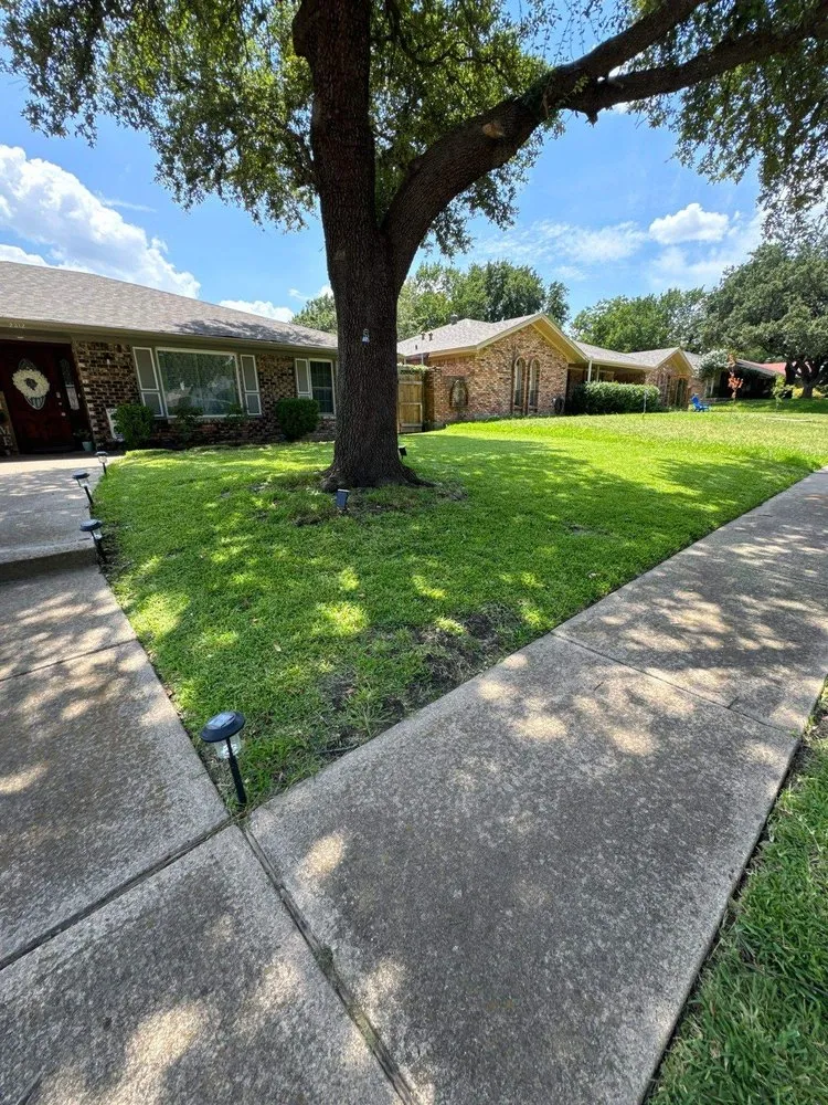 Slide of PPP Services