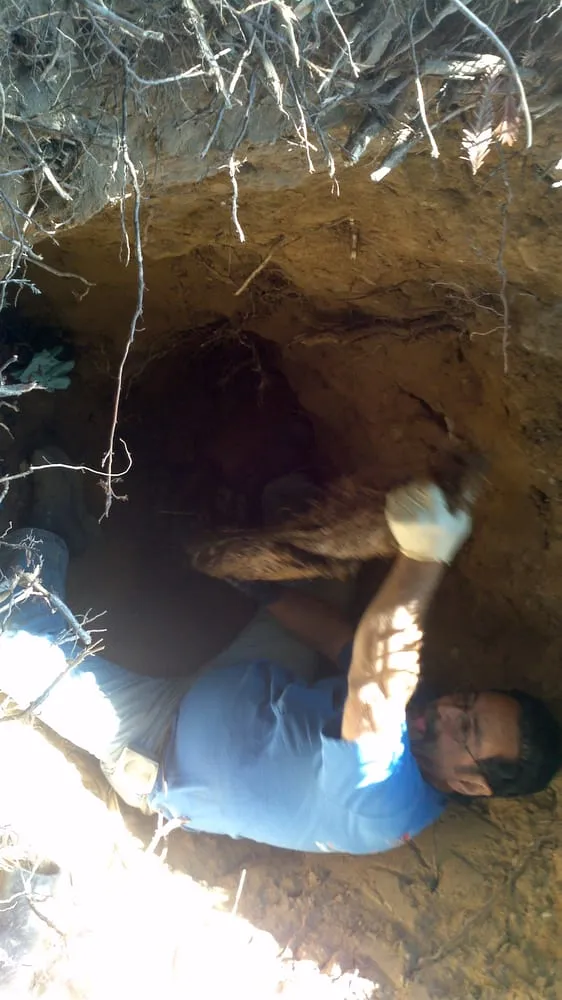 Slide of Praytor & Son Expert Plumbing