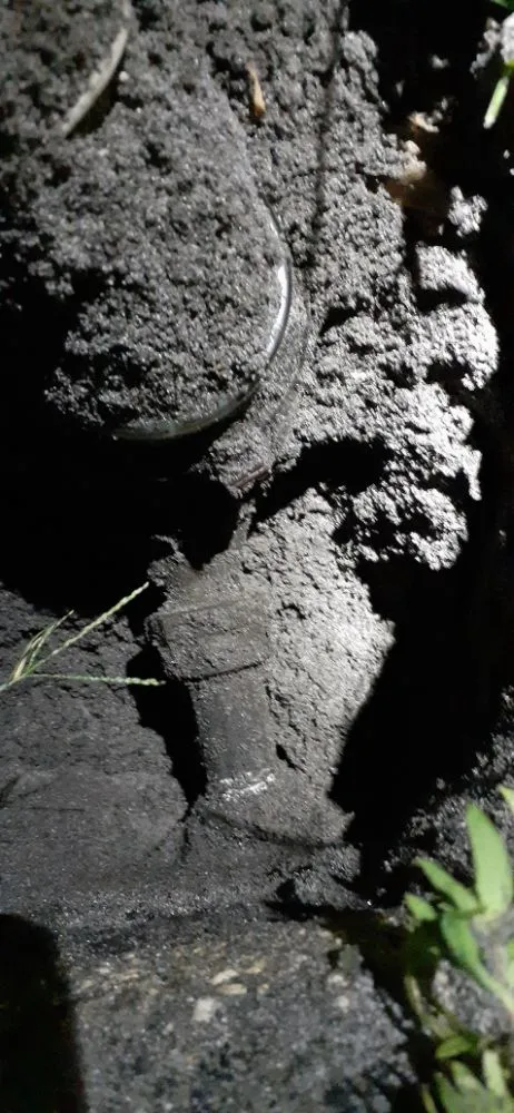 Slide of Precise Backflow and Drain Cleaning