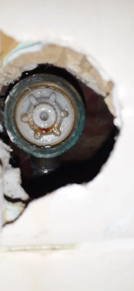 Slide of Precise Backflow and Drain Cleaning