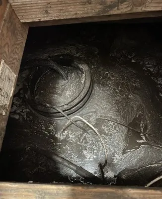 Precise Plumbing Logo