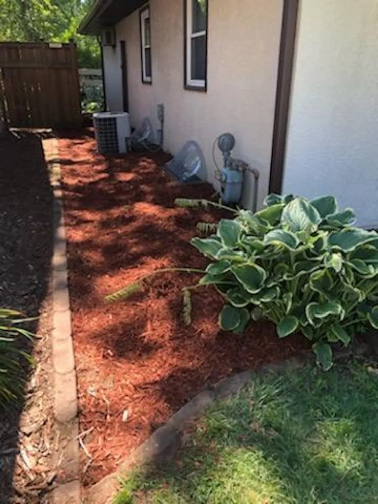 Slide of Precision Drainage & Landscape