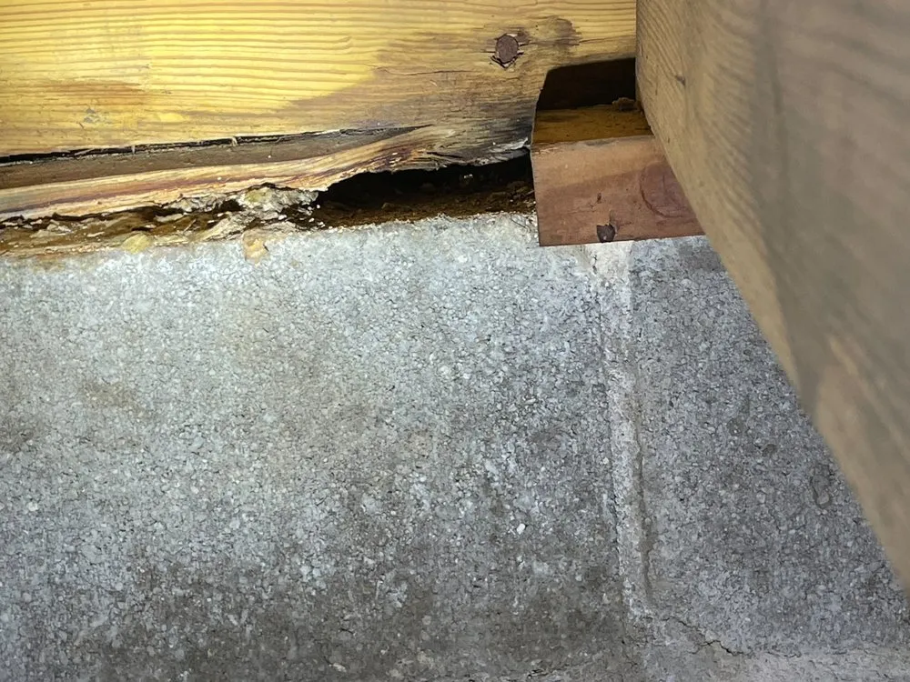 Reliable emergency plumbing experts serving Linden, IN - Precision Inspection And Evaluation