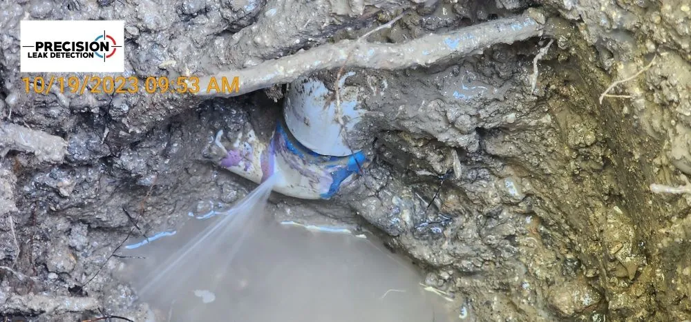 Slide of Precision Leak Detection