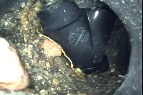 Slide of Precision Locating