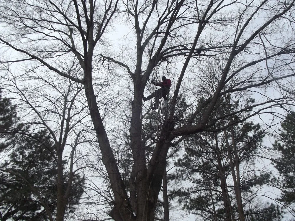 Slide of Precision Painting Company