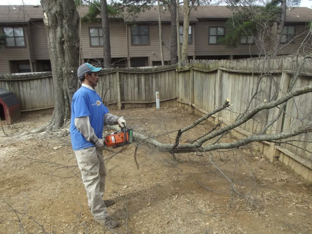 Affordable plumbing repair for homes in Memphis, TN by Precision Painting Company