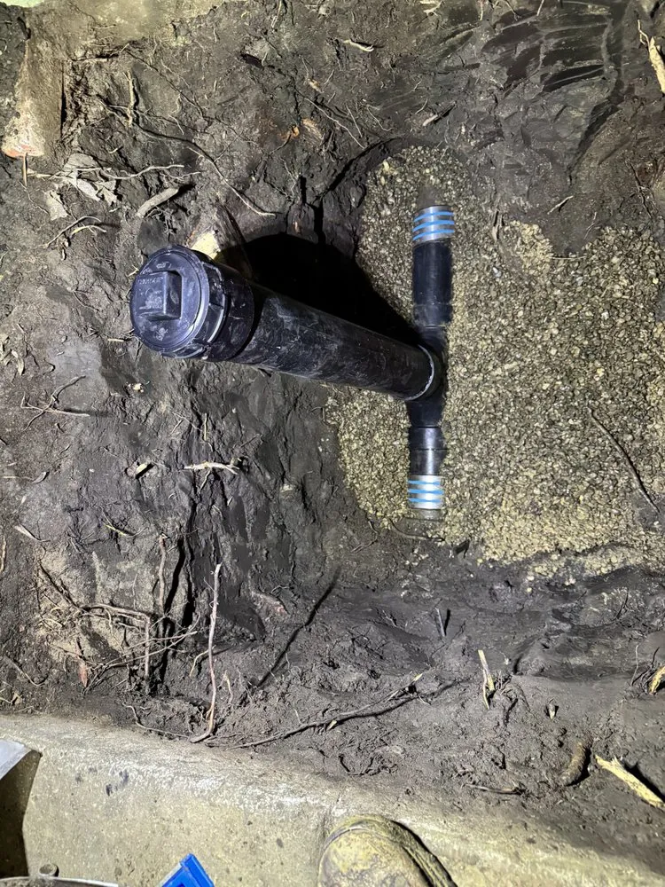 Quality drain cleaning experts serving Fremont, CA - Precision Plumbing & Water Heaters
