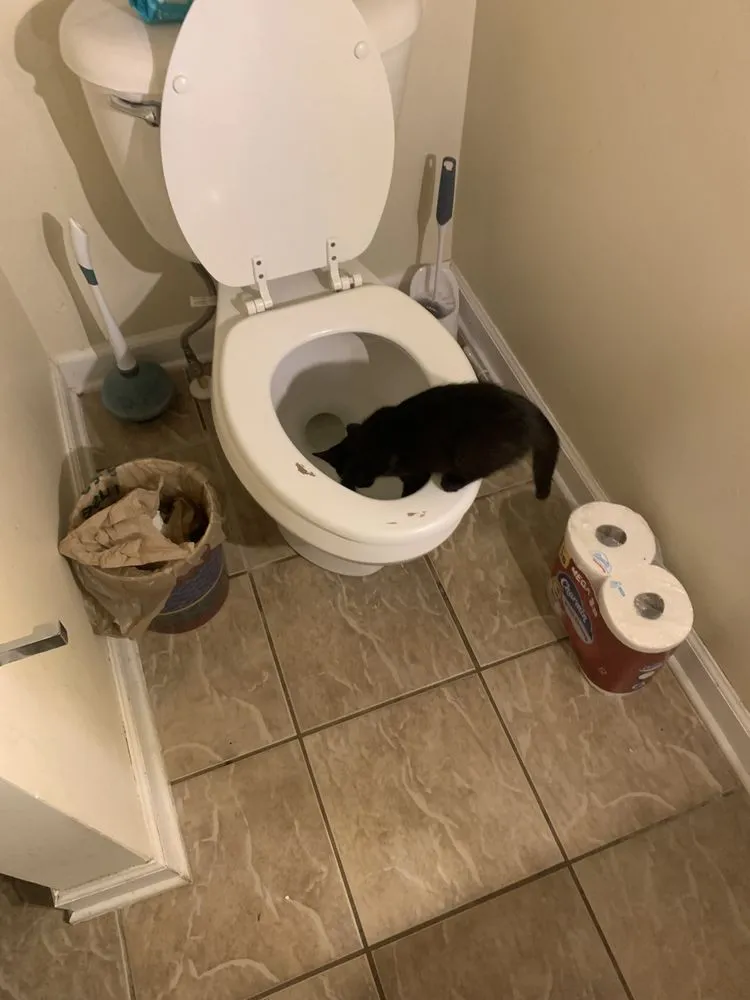 Slide of Precision Plumbing