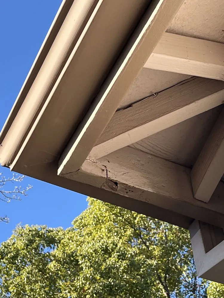 Affordable leak detection in Georgetown, CA by Precision Pro Handyman Services