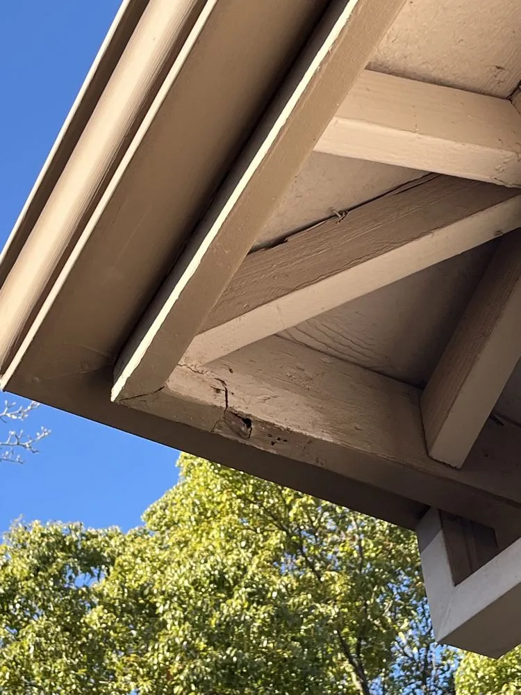 Top-rated drain cleaning in Georgetown, CA by Precision Pro Handyman Services