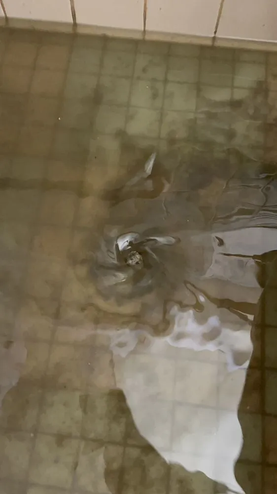 Slide of Precision Rooter & Drain