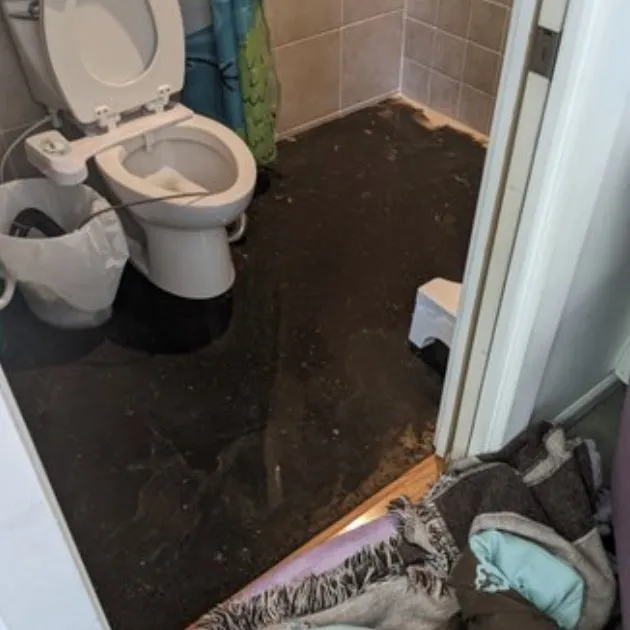 Slide of Precision Rooter