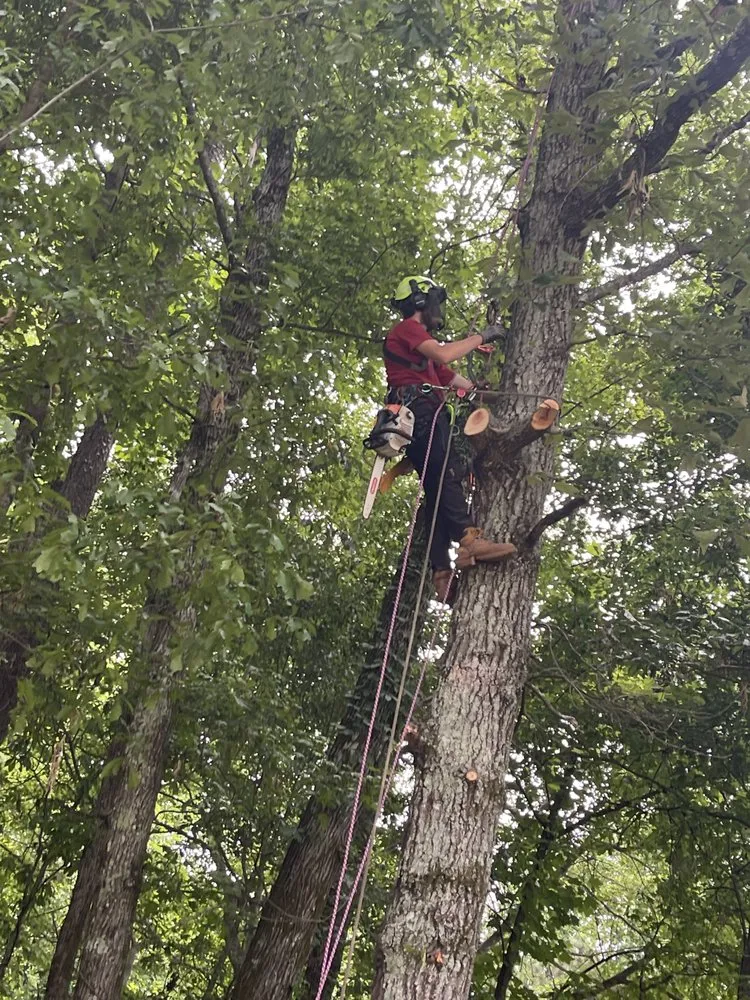 Slide of Precision Services