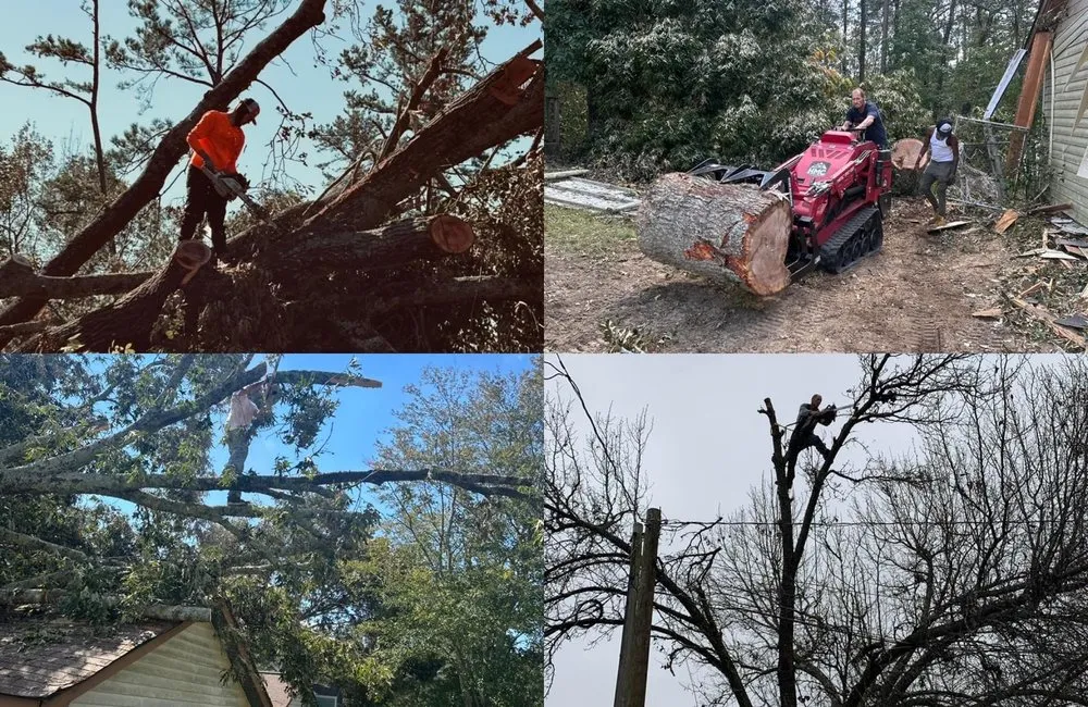 Slide of Precision Services