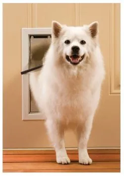 Affordable emergency plumbing service in Albany, GA - Preferred Home Repair Handyman