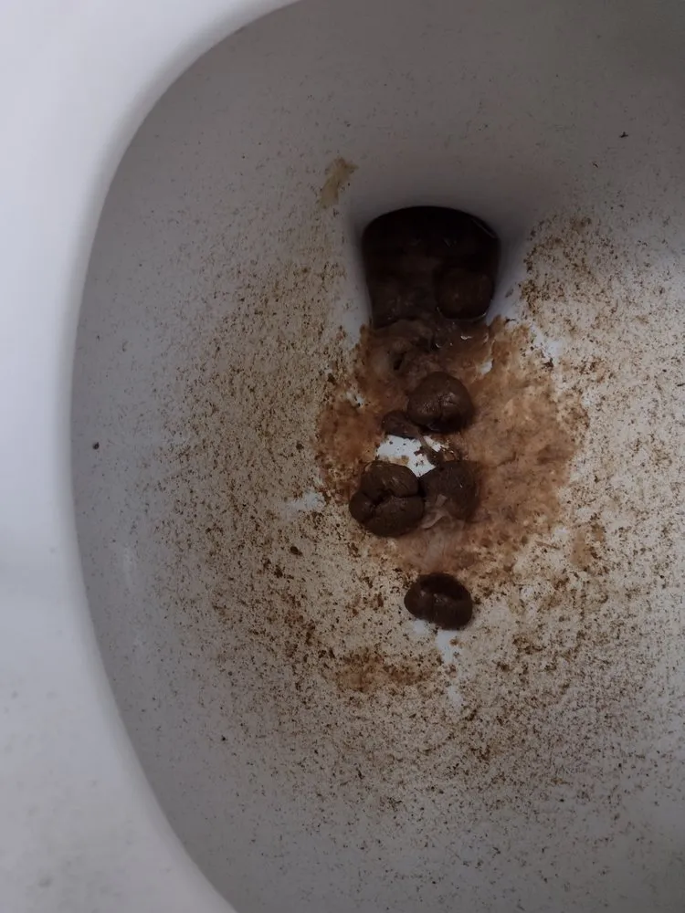 Slide of Preferred Plumbing & Drain