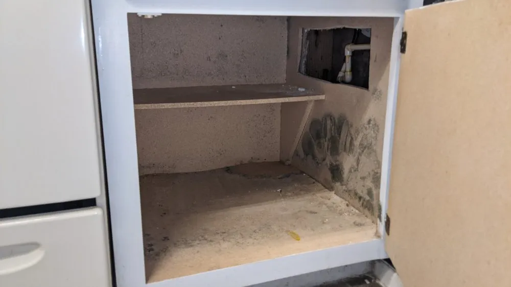 Slide of Premier Plumbing & Leak Detection