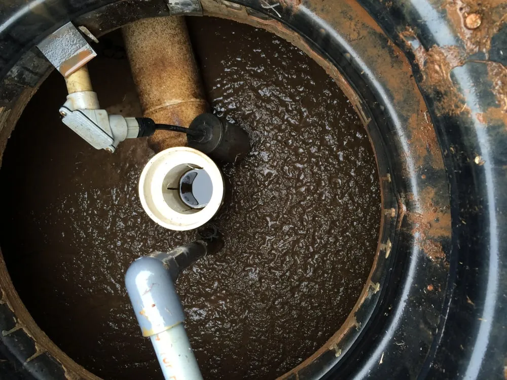 Slide of Premier Pumping And Septic