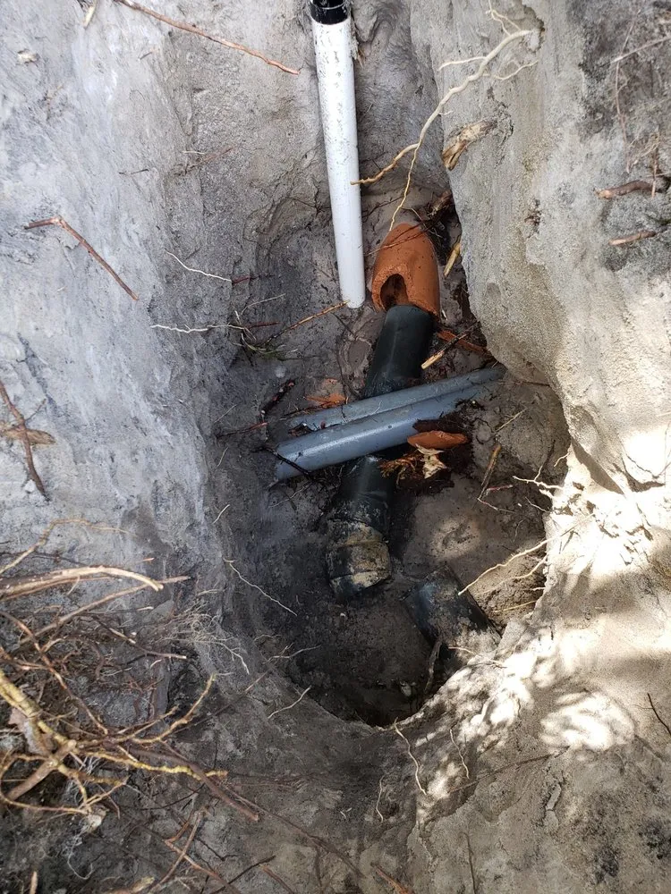 Top-rated water heater service experts serving Palm Harbor, FL - Premier Rooter Plumbing and Drain Services