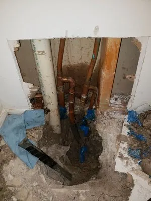 Premier Rooter Plumbing and Drain Services