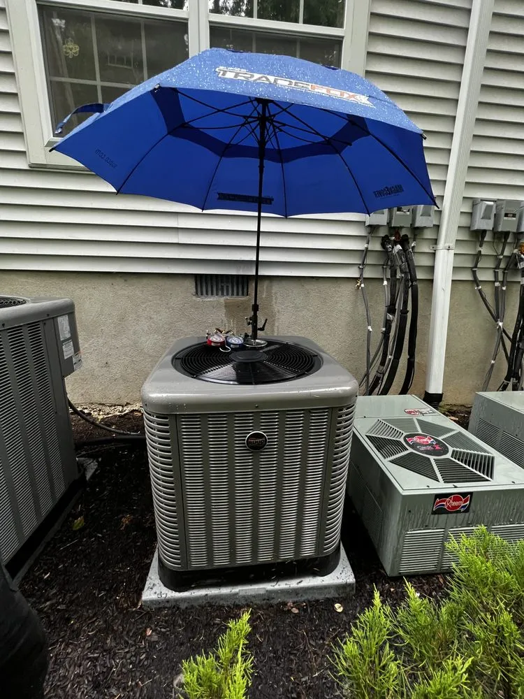 Slide of Premier Services