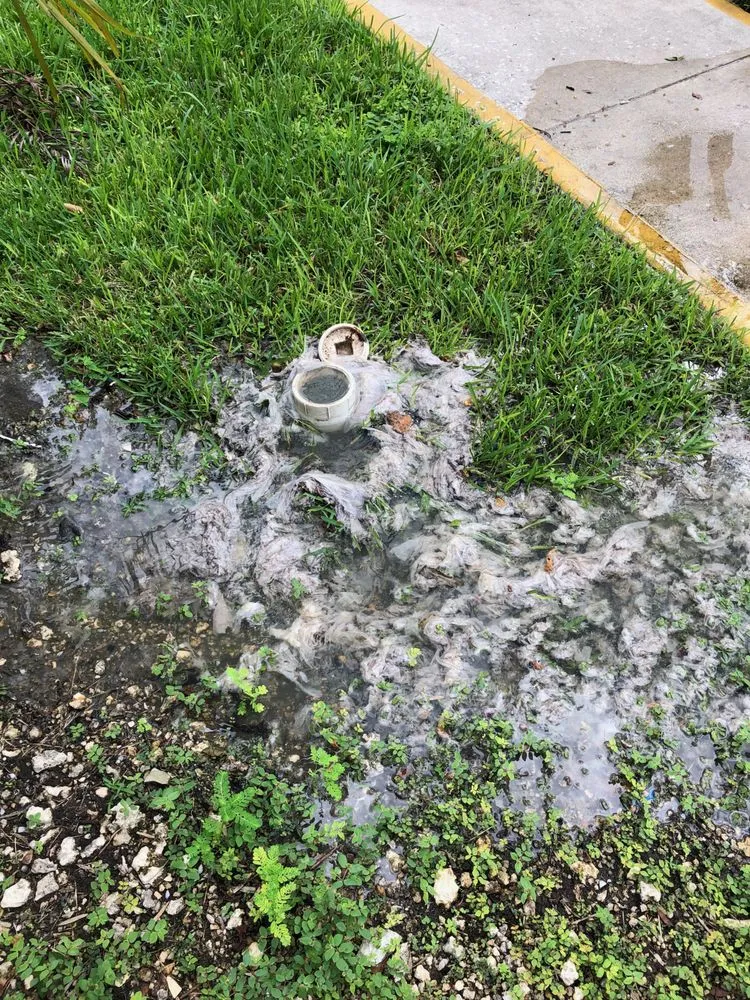 Slide of Premiere Plumbing