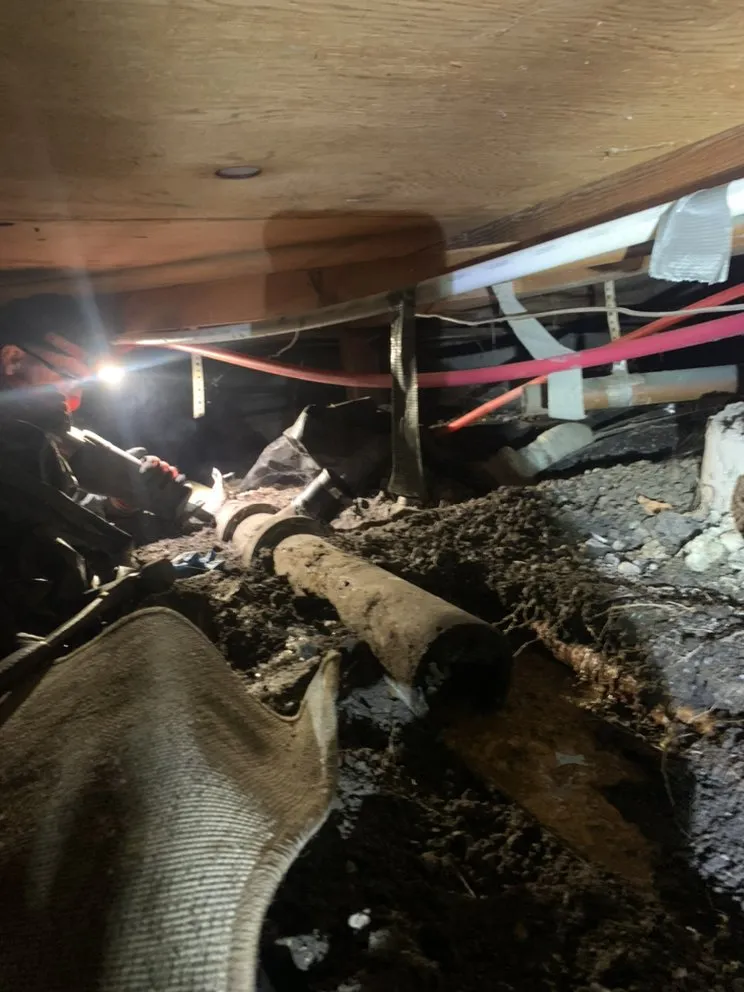 Professional drain cleaning for homes in Livermore, CA by Premium Plumbing