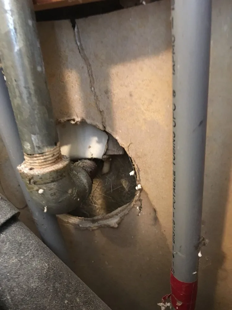 Slide of Prescription Plumbing