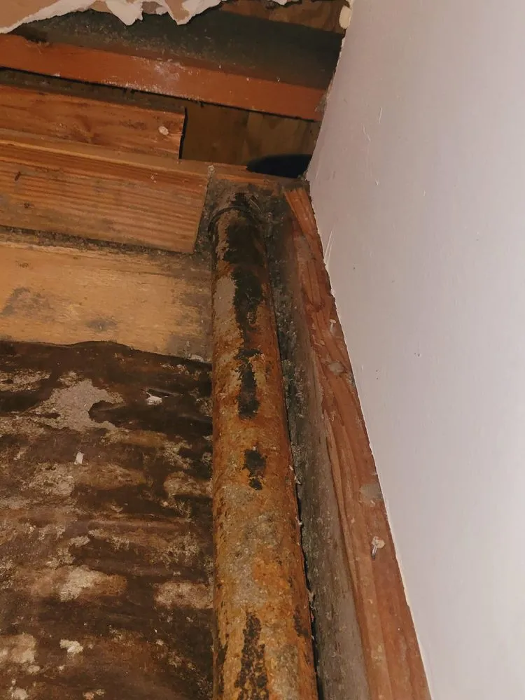 Slide of Presidential Drain Cleaning and Plumbing