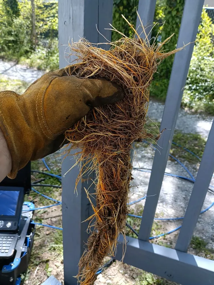 Slide of Prestige Drain Solutions