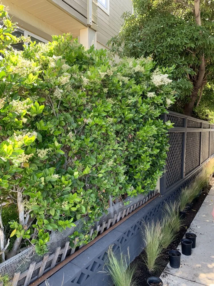 Slide of Prestige Home Building