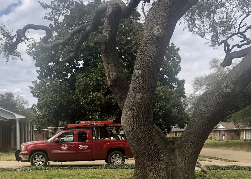 Slide of Prestige Plumbing Repair
