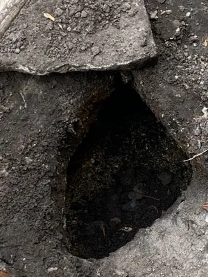 Presto Plumbing Logo