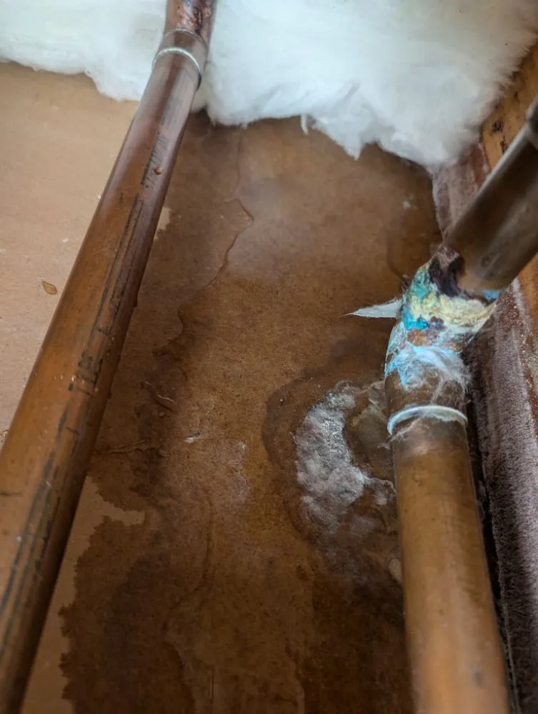 Slide of Pretzantzin's Plumbing