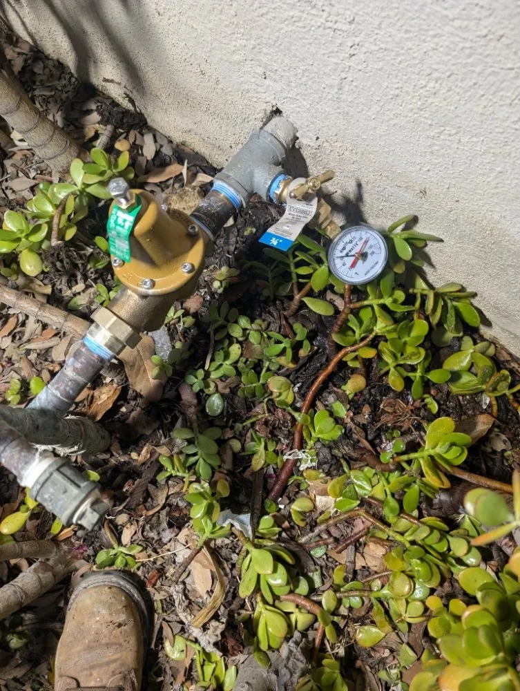 Slide of Pretzantzin's Plumbing