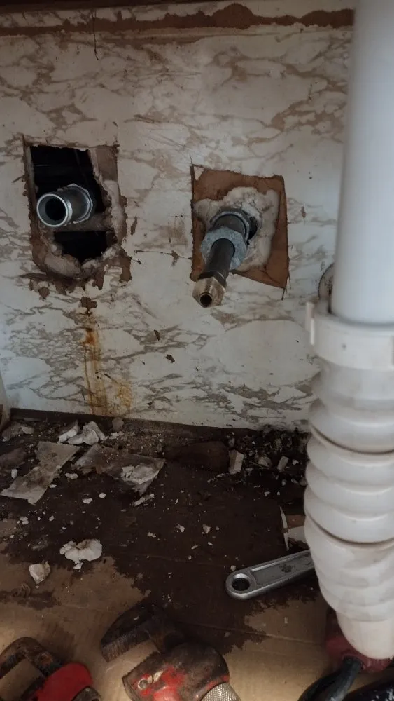 Slide of Pérez Cutt Trees