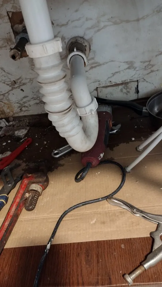 Slide of Pérez Cutt Trees