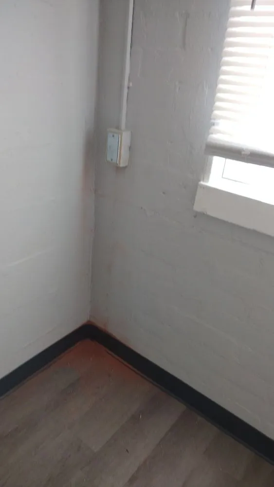 Slide of Pérez Cutt Trees