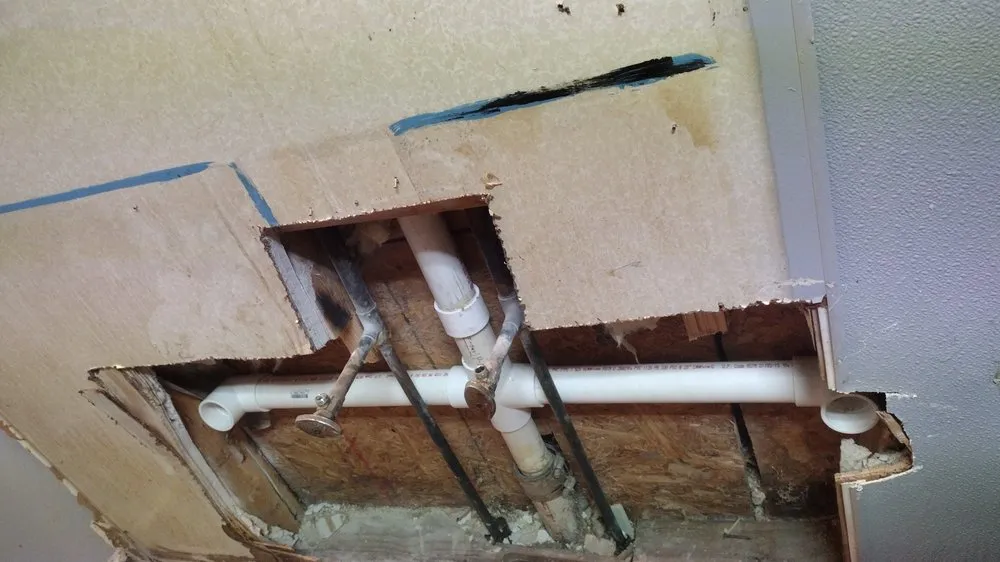 Slide of Pérez Cutt Trees