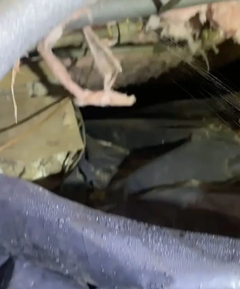 Trusted pipe repair experts serving Lynnwood, WA - Price Busters Plumbing & Sewer