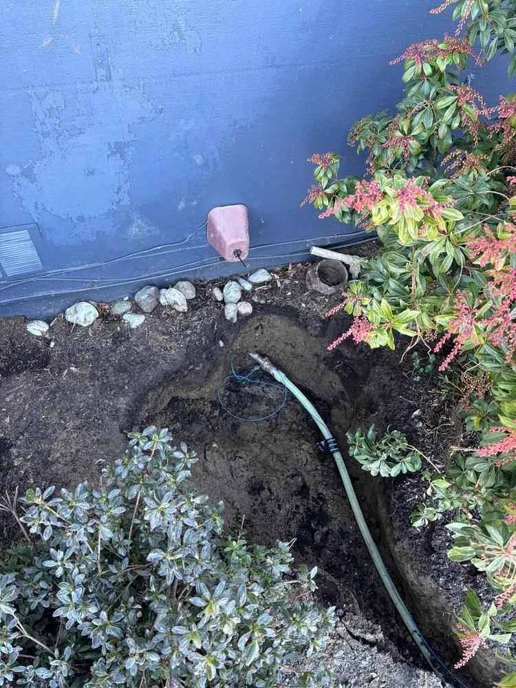 Affordable leak detection in Lynnwood, WA by Price Busters Plumbing & Sewer