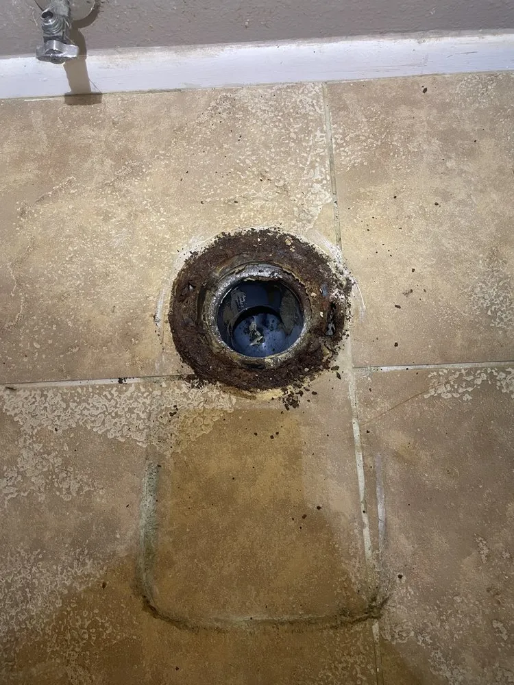 Slide of Prickly Pear Repairs