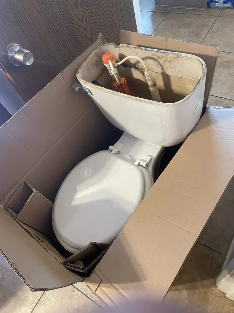 Slide of Prickly Pear Repairs