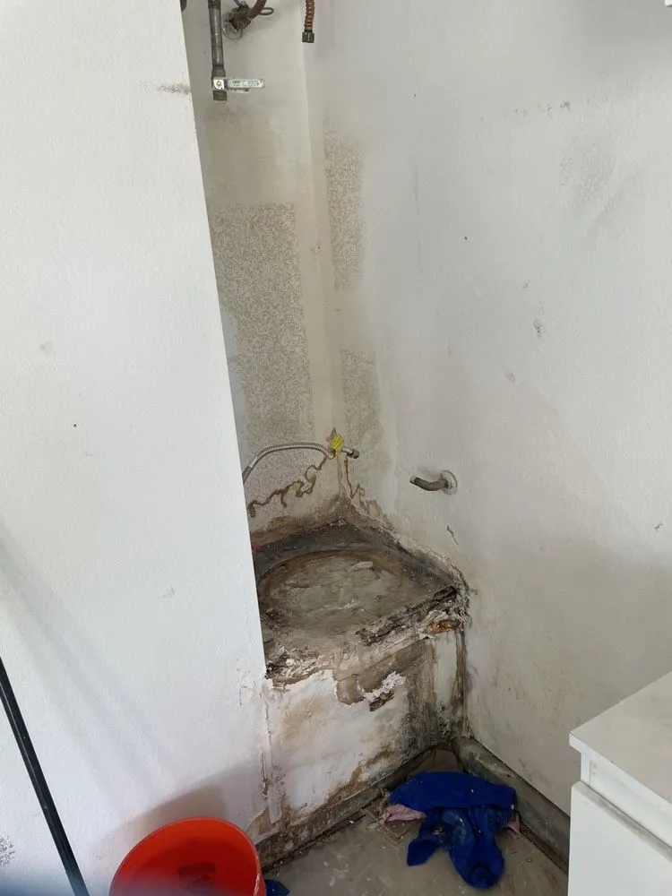 Slide of Prickly Pear Repairs