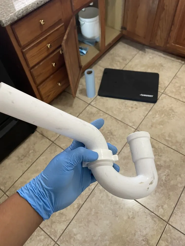 Slide of Prickly Pear Repairs