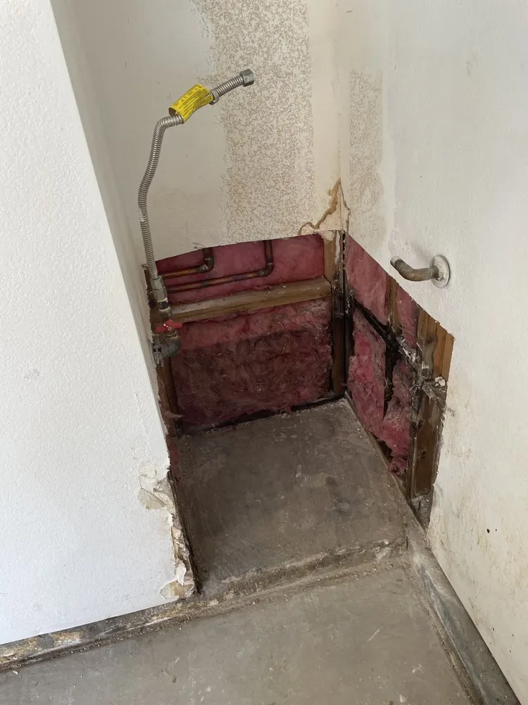 Slide of Prickly Pear Repairs