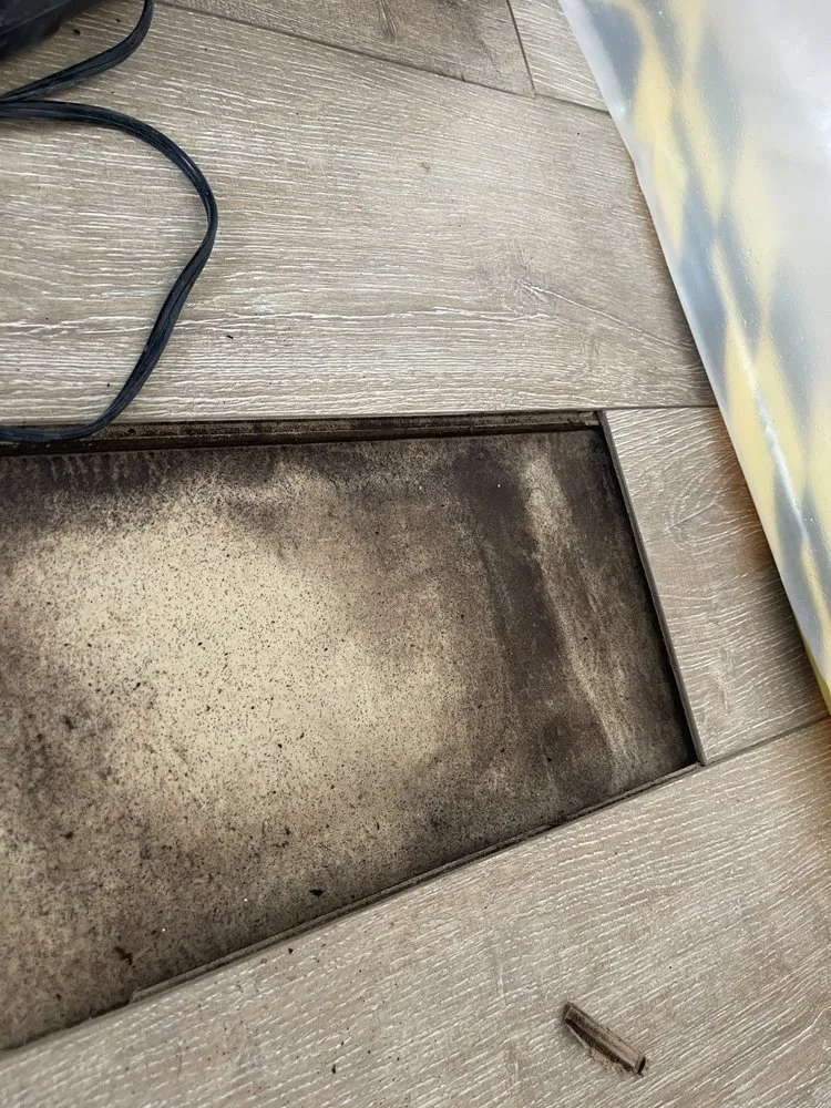 Slide of Pride Clean Restoration