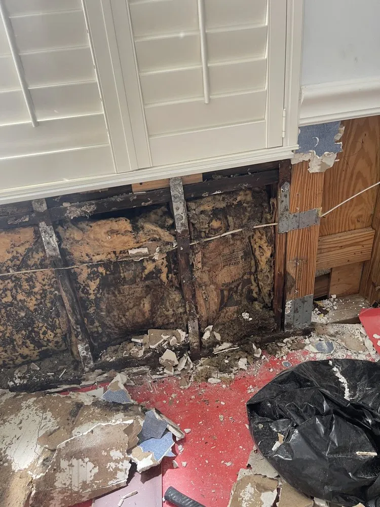 Slide of Pride Clean Restoration