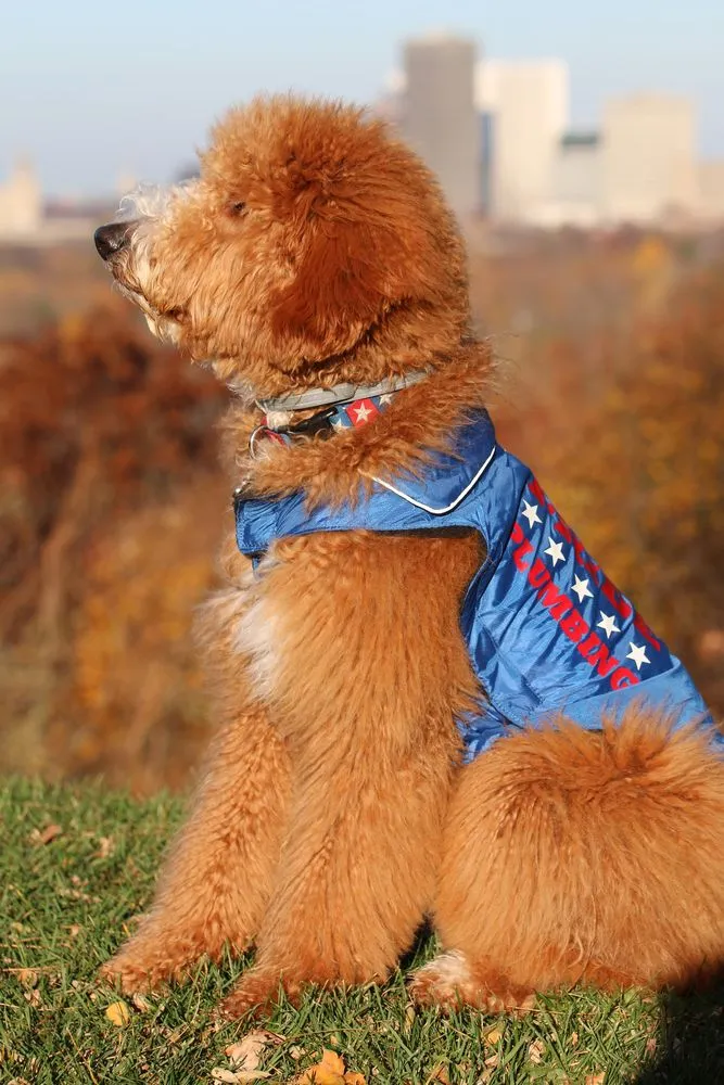 Slide of Pride Plumbing Services